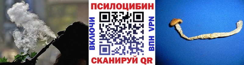 магазин    маркетплейс клад  Галлюциногенные грибы Cubensis  Игра 